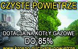 Grafika - Czyste Powietrze