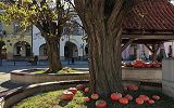 Krośnieński rynek w dyniach