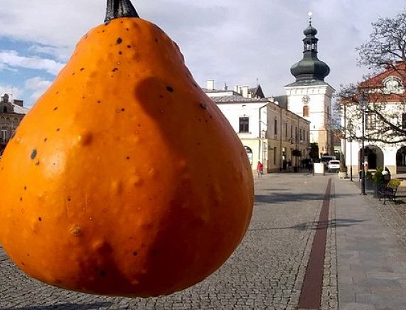 Dyniowy Wieczór na krośnieńskim Rynku