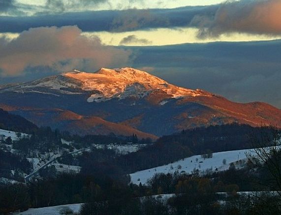 Tarnica