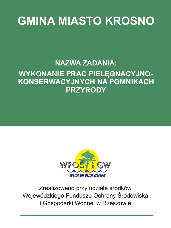 Wykonanie prac konserwacyjno-pielęgnacyjnych na pomnikach przyrody - zdjęcie w treści 