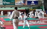 Mistrzostwa Makroregionu Południowego i Międzywojewódzkie Mistrzostwa Młodzików Karate Kyokushin w Krośnie