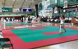 Mistrzostwa Makroregionu Południowego i Międzywojewódzkie Mistrzostwa Młodzików Karate Kyokushin w Krośnie