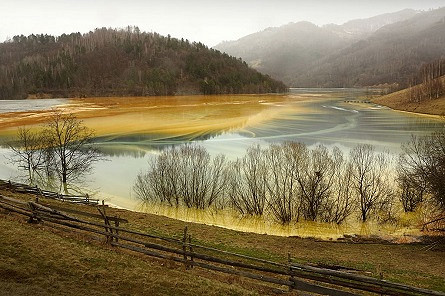 RCKP zaprasza na wystawy fotografii - zdjęcie w treści  nr 2