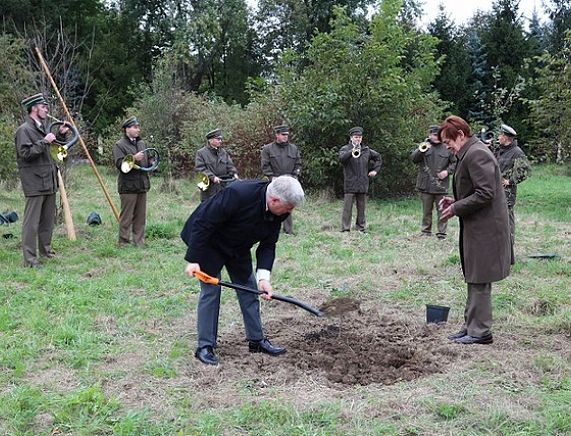 Święto Lasu w Krośnie. Dąb Bartek rośnie w naszym mieście