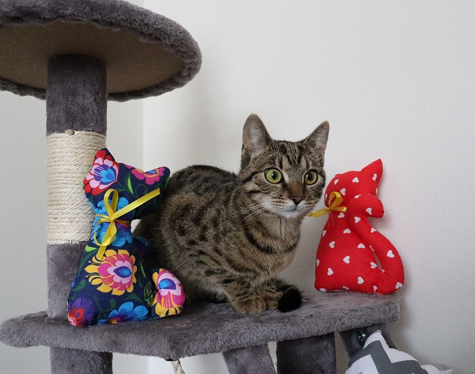 Fundacja, która chce sprawić