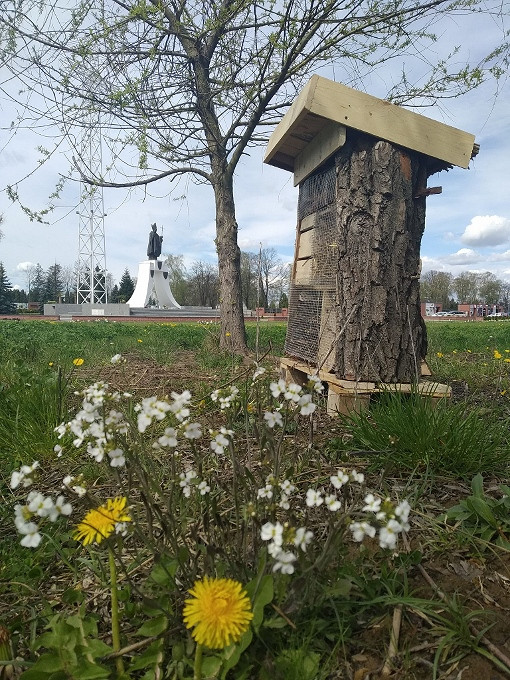 Wiosna w Krośnie - zdjęcie w treści  nr 2