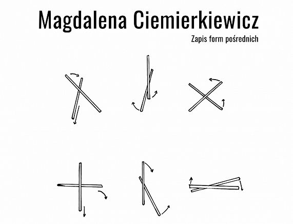 Plakat - Wystawa Magdalena Ciemierkiewicz Zapis form pośrednich