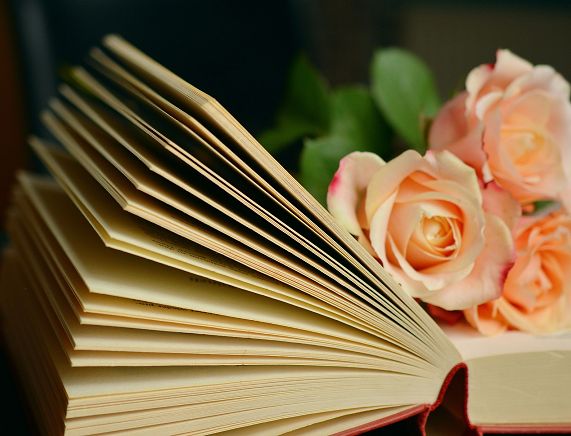 Zdjęcie prezentujące otwartą książkę, na niej bukiet róż