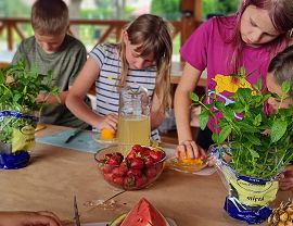 dzieci przy stole kroją owoce na lemoniadę