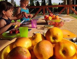 Dzieci kroją owoce na lemoniadę