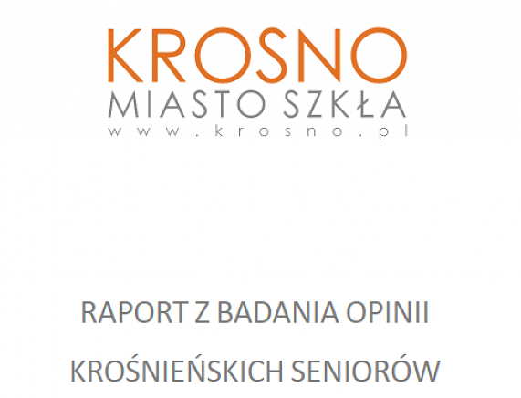 raport_image.png