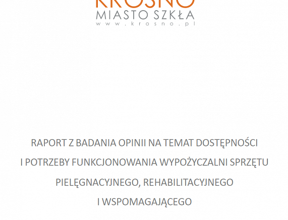 raport_wypożyczalnia.png