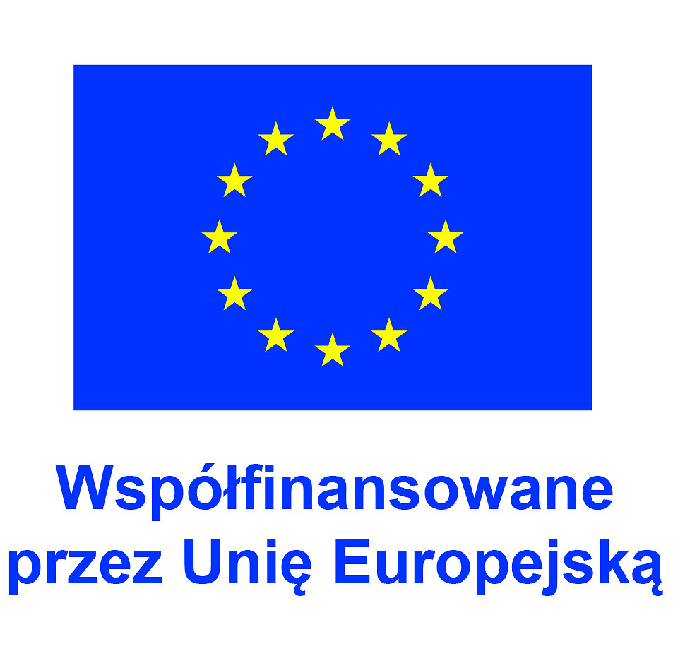 PL V Współfinansowane przez Unię Europejską_POS.jpg [755.68 KB]