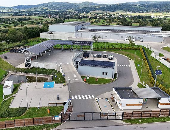 pszok krosno.jpg