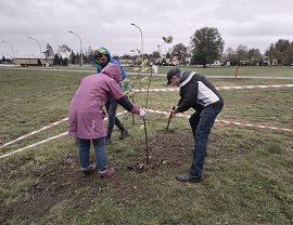 IMG-20251010-WA0014.jpg