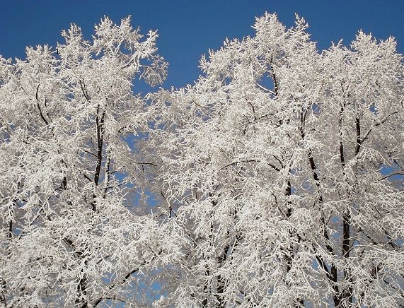 Tymczasowe zamknięcie parków miejskich oraz cmentarzy