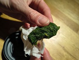 IMG_20250425_184442339.jpg