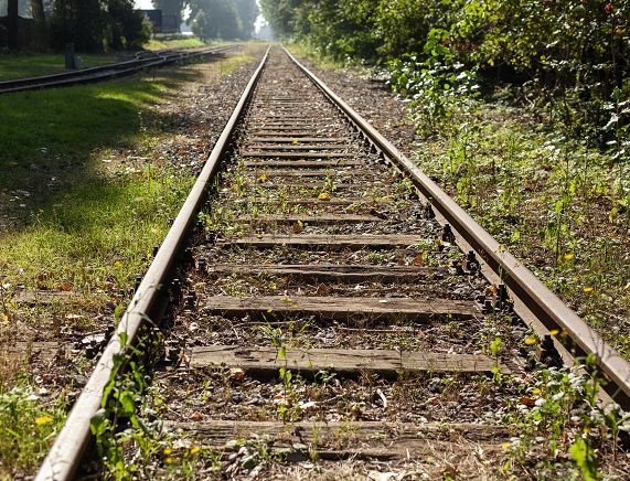 beautiful-shot-train-tracks-covered-with-grass-daytime.jpg