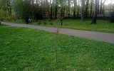 IMG_20250423_154514.jpg