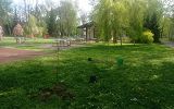 IMG_20250423_153756.jpg