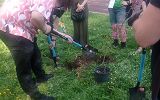 IMG_20250423_153826.jpg