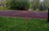 IMG_20250423_154233.jpg