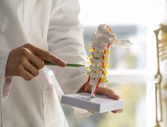 Freepik. Lekarz opisujący osteporozę