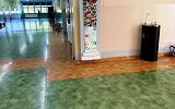 IMG_2341.jpeg