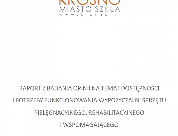 raport_wypożyczalnia.webp