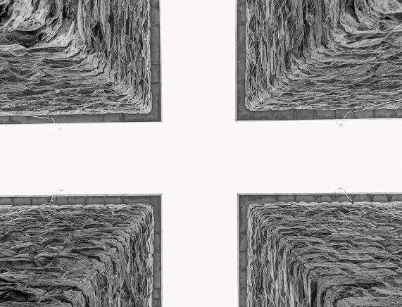 „Dni Autorskie”  plakat