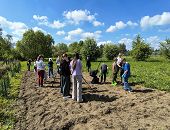 Dynie na zakolu Wisłoka. Uczniowie "Czwórki" wspierają bioróżnorodność