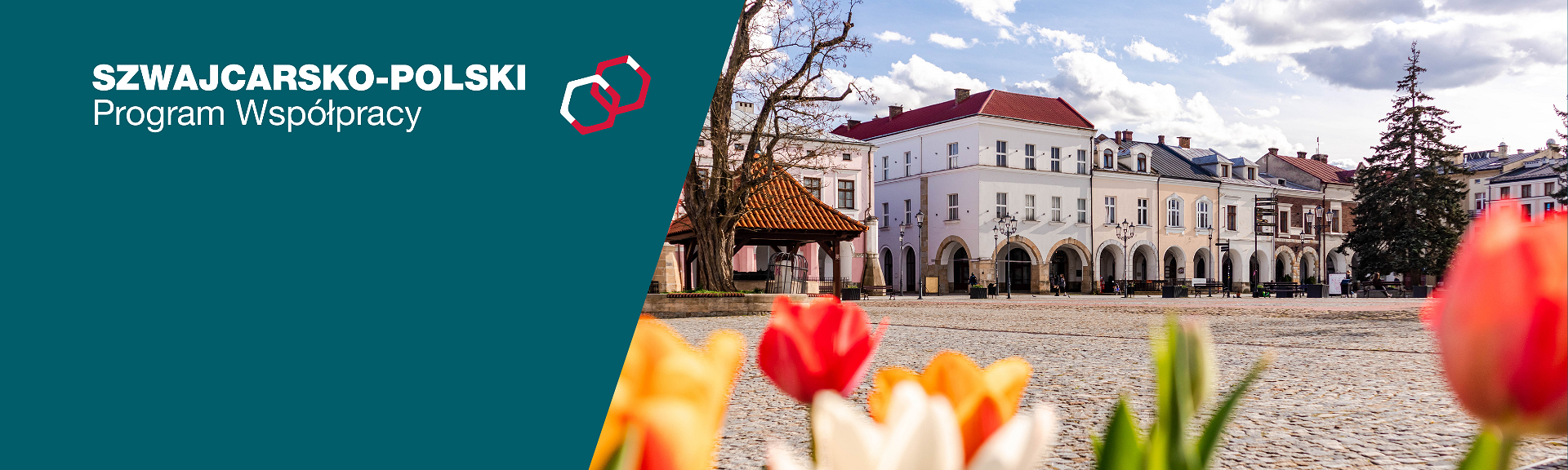zdjęcia rynek krosna