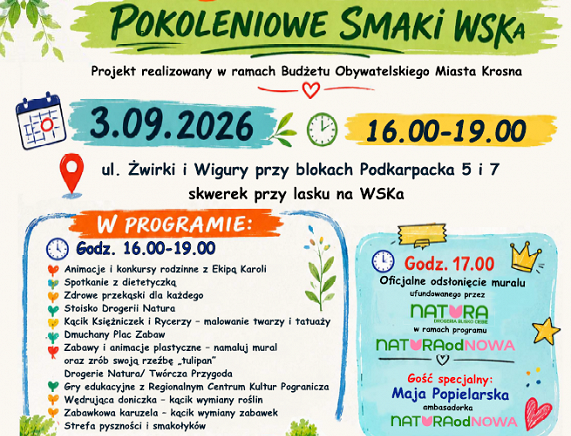 plakat piknik wsk