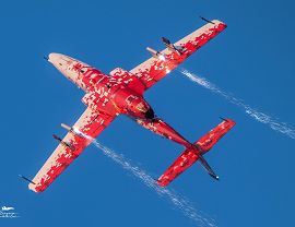IMG_5387.JPG